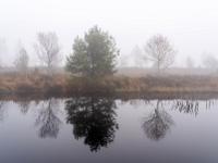Bäume am Ufer des ersten Moorsees spiegeln sich im Wasser - Kendlmühlfilzn
